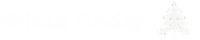 footer-logo.svg